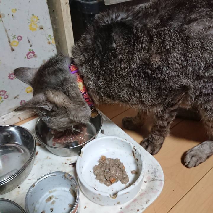 D149cb19 247f 4262 aa6e 4cf7e4b400c4 1597011822334