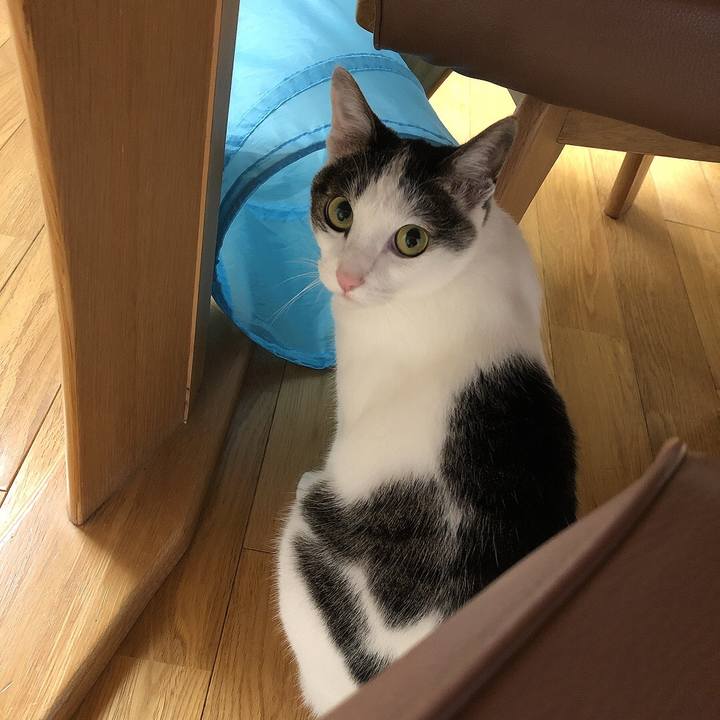 D149f203 de97 47b7 8120 f6e37aa6501a 1657789515780