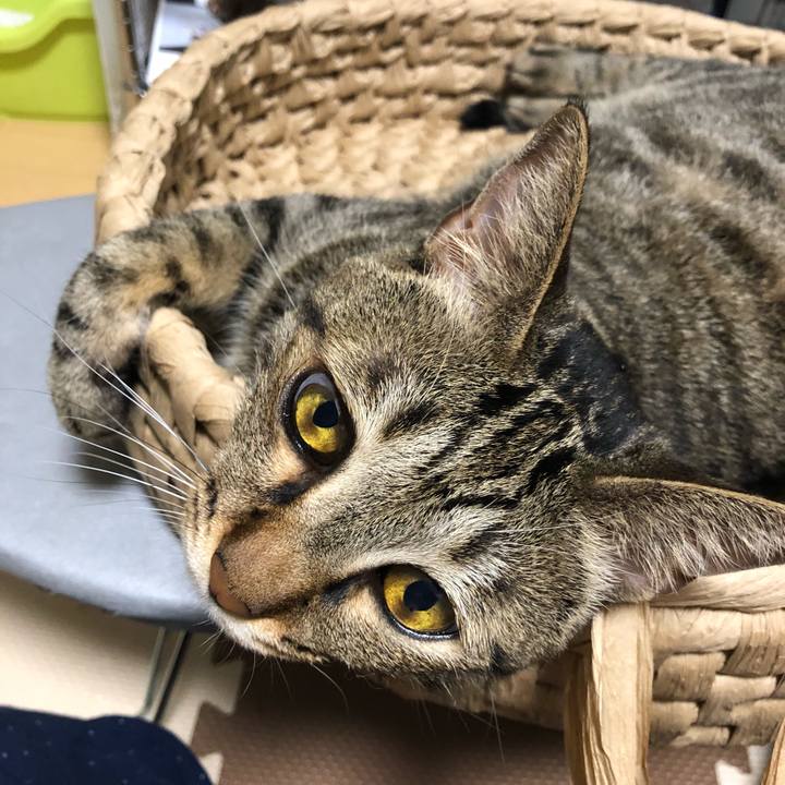 D14a2875 bc89 4fec 8d85 fb47a46a4723 1530580852994