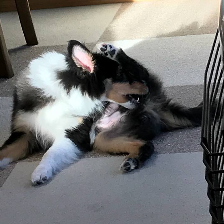 D14a2fae ce82 4678 a9cd fc51537049bb 1514849051225