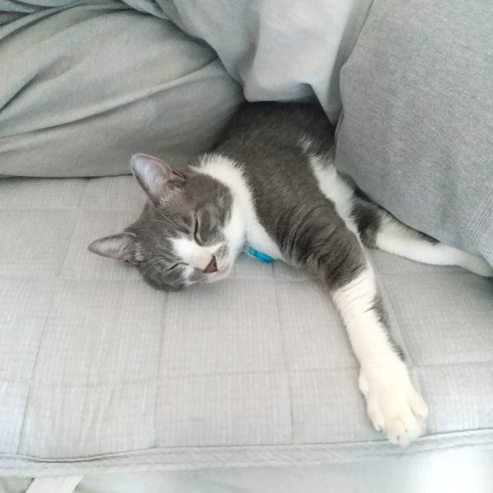 D14a5247 054a 45db 8ca2 6536fcccbf30 1616465872551