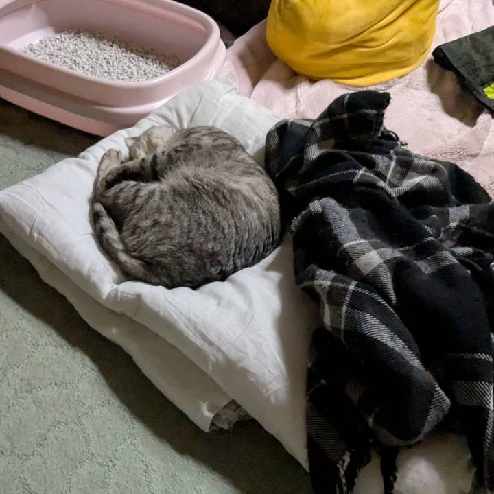 D14a5e83 aa21 49dd 94d3 1c88f2596f17 1770129269612