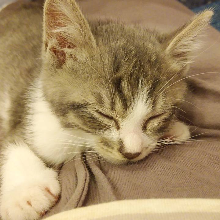 D14a7383 6307 4365 b61a 3d9dc8ad312e 1560522679709