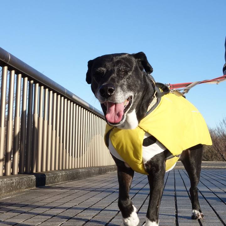 D14a78d5 2900 47cf 96e8 0f5aee640fbb 1739233438195