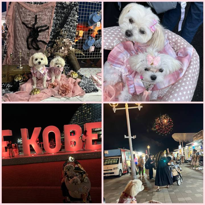 D14a7a00 ec9c 4d43 8bd6 e1a45da9b32e 1726923908087