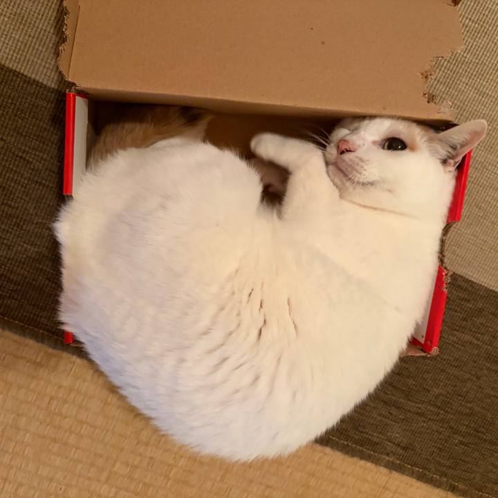 D14aa9fd 9294 4b9a 89b3 16cc69825719 1772808523615