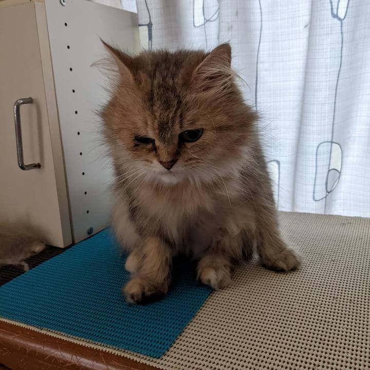 D14aacaf 0aae 4821 bfa5 113f068a2508 1658061409605