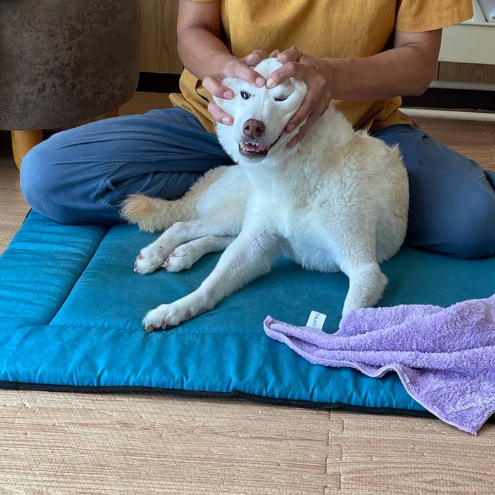 D14ad975 b6df 4592 9301 78a58e4a8e23 1662377163512