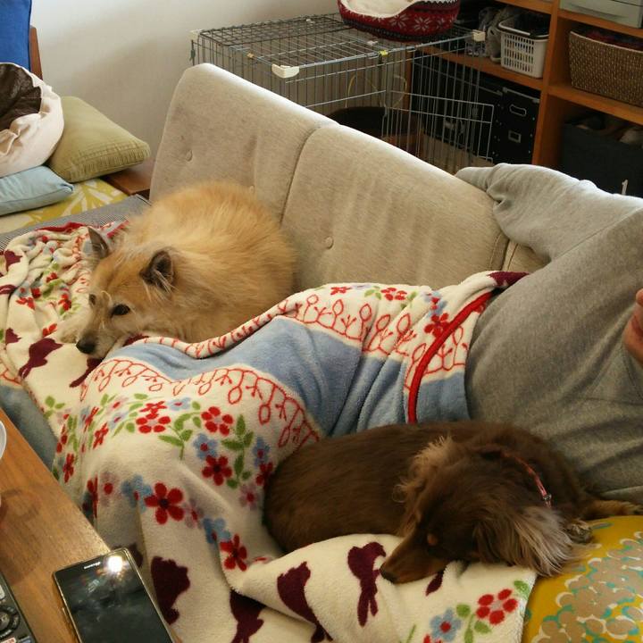 D14aed15 f4cd 43c5 a185 78f77209d1da 1514784711370