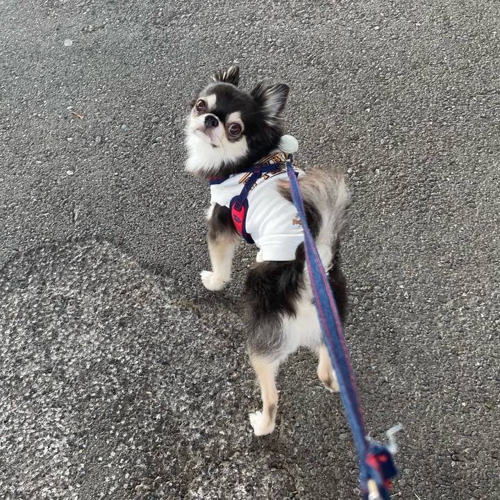 D14af47f 3d5b 492f ad98 9802617e5aa9 1698507175856