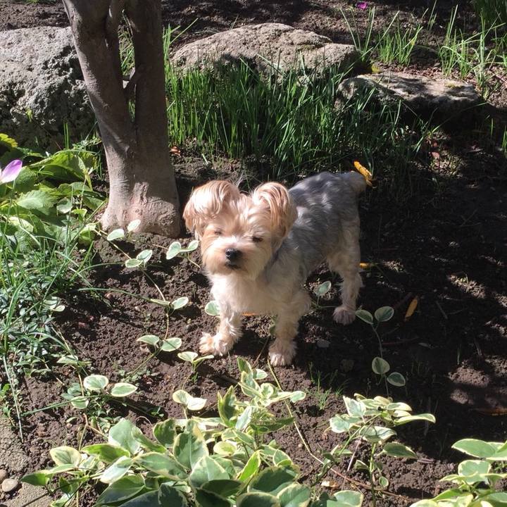 D14b34e8 6b91 445b 976d f6f16d2e9fe7 1538641949642