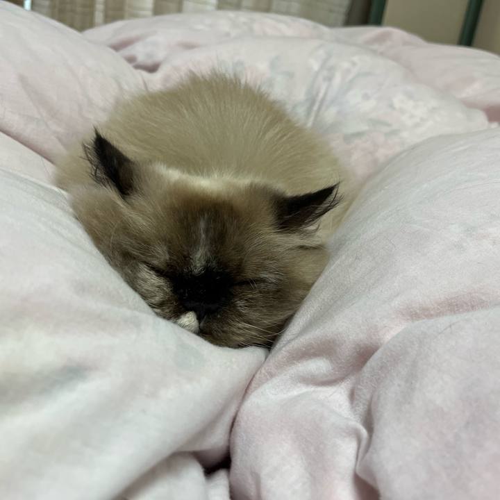 D14b935a b589 4710 a480 ec258e81ac76 1667651894949