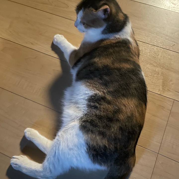 D14b9631 b2c1 42ba 9eda 8e7a44cdcd9f 1690588504202