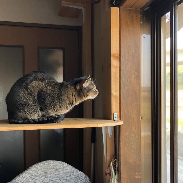 D14bc503 1591 4335 956c 17a738587498 1587078386426