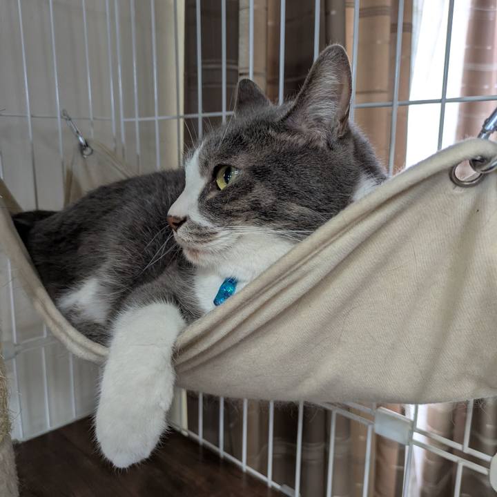 D14bd0b2 c0ba 47a1 9abd f7950d317705 1747292804534