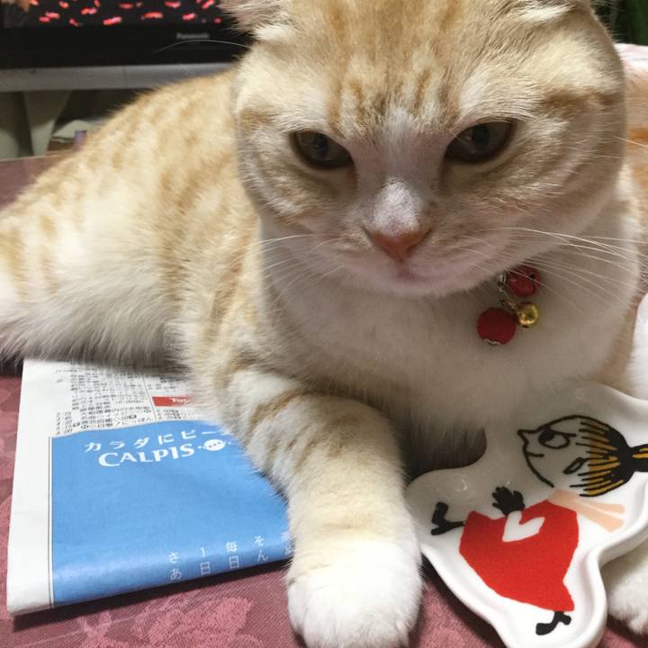 D14bf8f3 e2e1 4d94 b57a 53fb3e356168 1516527833897