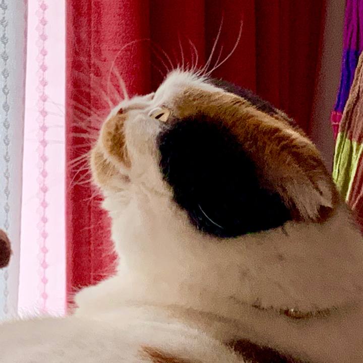 D14c63e4 7c49 428d 8e4b d2ca1e837cca 1568783400157