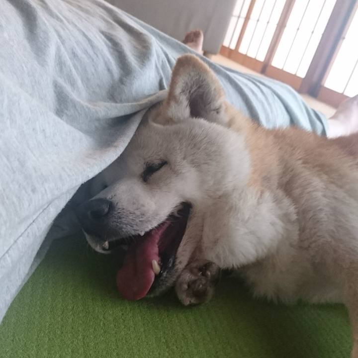 D14c658f 5513 493d abe0 7d21fbdb3b3b 1564403362060