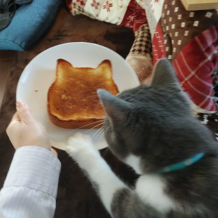 D14c65b5 058f 4f92 aeee a11e2d65c327 1580513586384