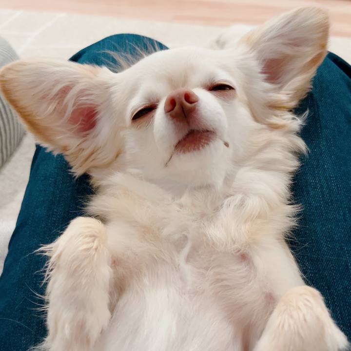 D14c9a11 75ab 4287 b21e 6c991b4a10db 1716980694853