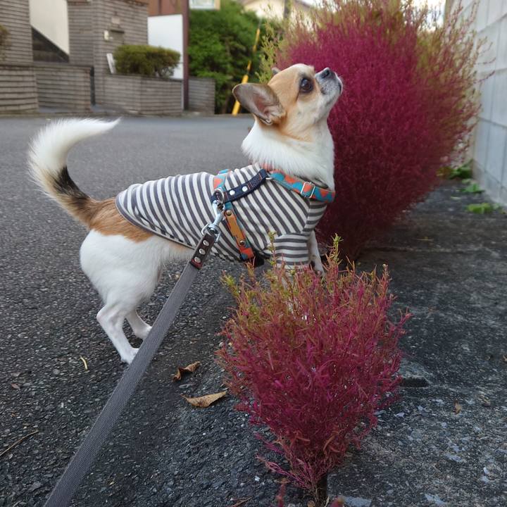 D14ca981 036f 4b05 8dec e96468961031 1634771346280