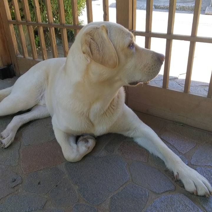 D14cec68 884e 4a06 9592 dabee2b152d2 1526788449650