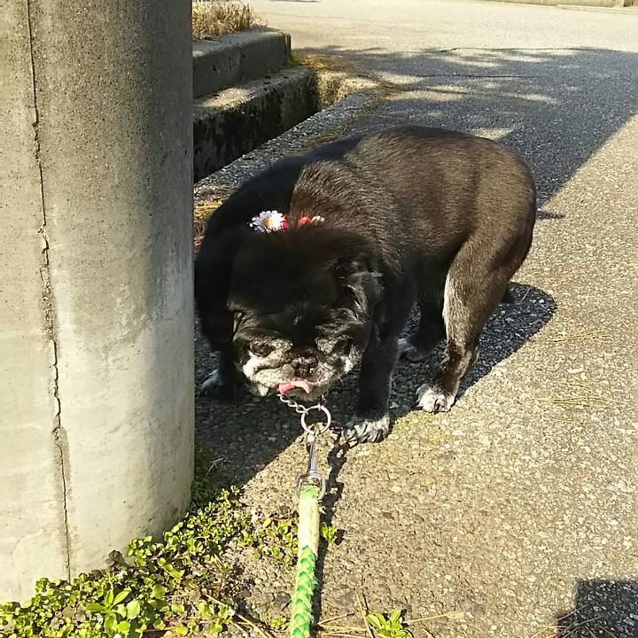 D14cf65e 3a53 49ec 987e 5451e1cc4f61 1551568632053