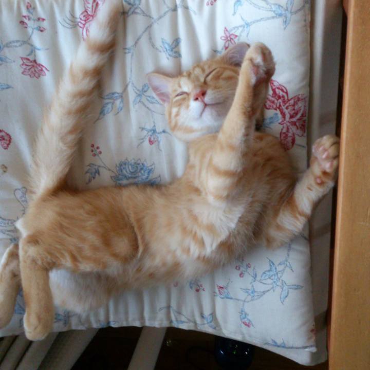 D14d27a1 efd6 4000 aeab c549c6bfbda6 1558755490621