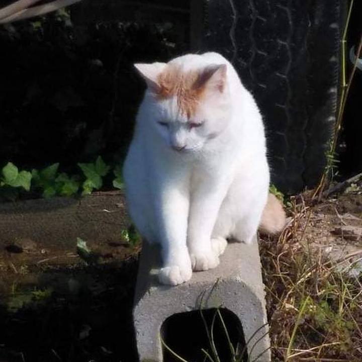 D14d2a7c b19f 46cd 9452 46566037c300 1635225046399