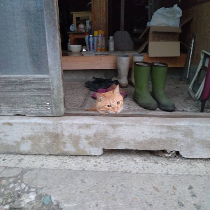 D14d32b8 09f2 4556 8a2f 68b587a4b907 1664919481672