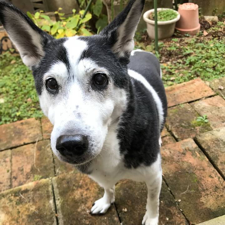 D14d4074 d717 4047 9c28 55b3f3356a27 1689341662910