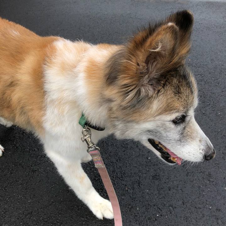 D14d4ed4 2352 45ad 8dc8 5bde5140dca1 1535075704271