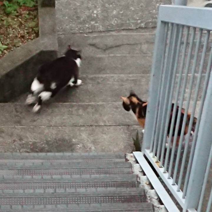 D14d590c a33f 4671 88e8 330a7fc8b7d1 1633555931872