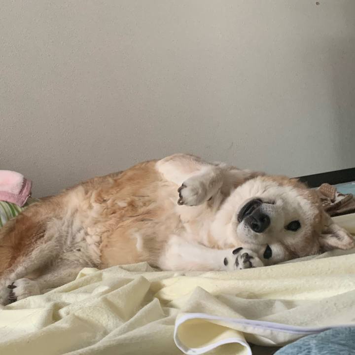 D14d7d8a 9d07 4718 81ad 5313ef481efb 1689385531014