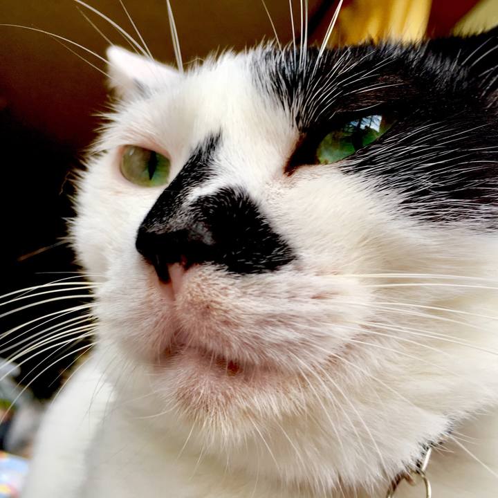 D14da032 4216 4e75 91e3 0d6f9ca53611 1536449375223