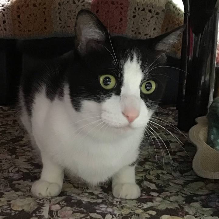 D14db85c 2e35 4132 b78a fd52501b33b0 1749381037679