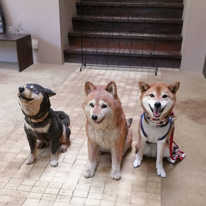 D14dbda1 91a4 424f 84b3 4045a8e5b5c7 1654173007817