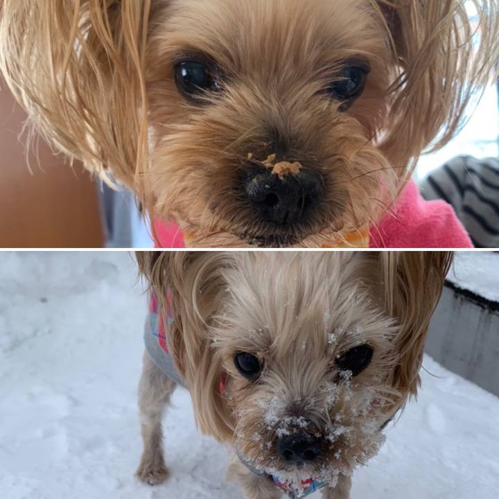 D14dc2d8 e14b 4b11 ae16 a2deec70d692 1641635423742