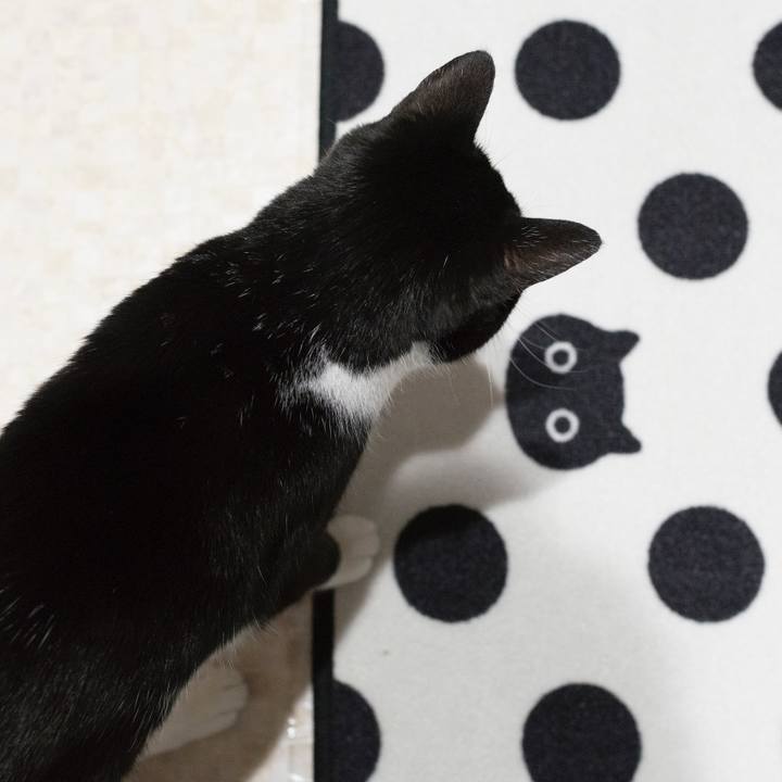 D14dce3c 6701 4bcc 8b4e 7ca36ecc119d 1541399153168