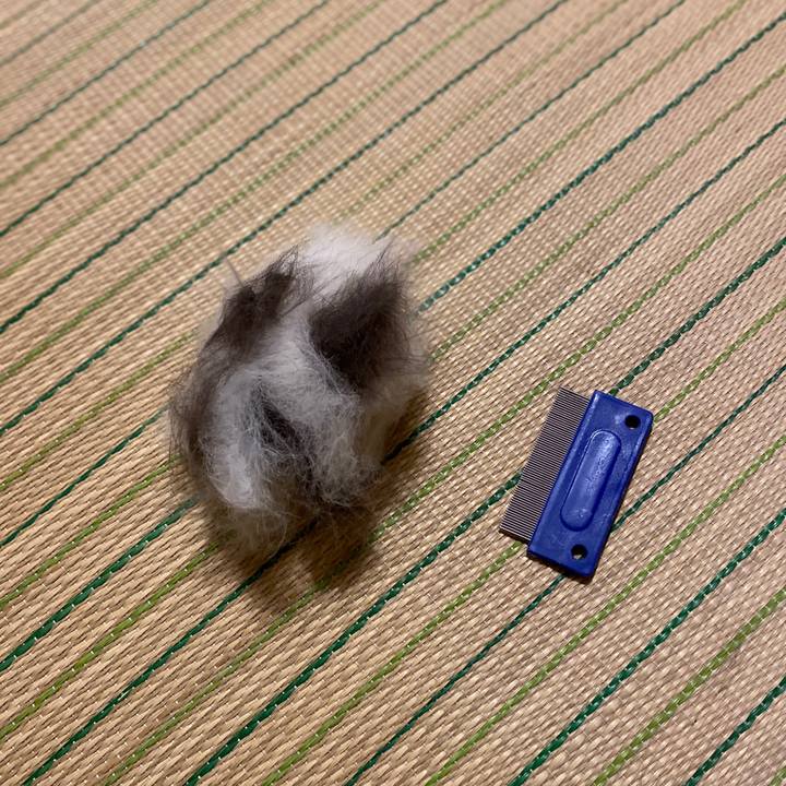 D14de4a5 ba2a 4a96 80f6 28c6efff9880 1594813129335