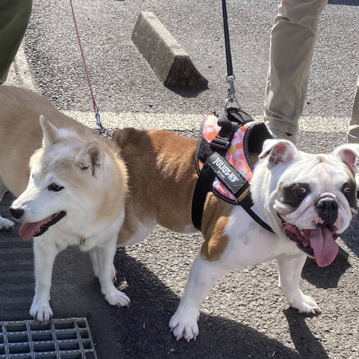 D14df208 6261 424a a64b 5b2a307232f5 1763969382050