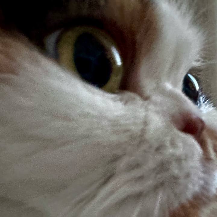 D14e0bf0 9f54 4694 8701 0e43bf7c5a69 1707083183516