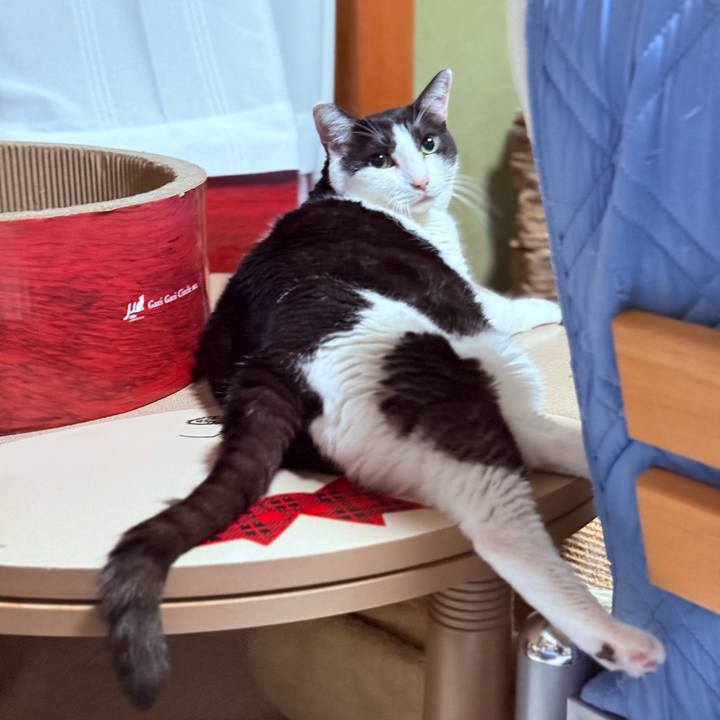 D14e13bf 7736 4804 9e95 70fb99f4a7d2 1757638444653