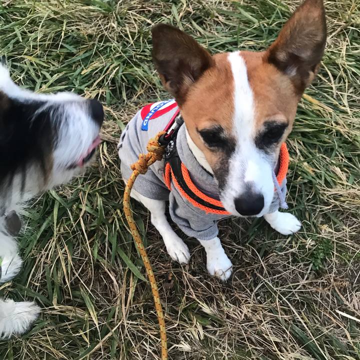 D14e2c42 6333 4d14 8311 e1b5e4f15ca2 1543219927900