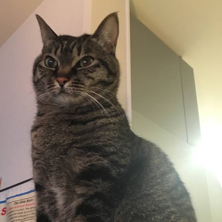 D14e4428 5245 42c6 889f 2a297a026c6b 1555322788139