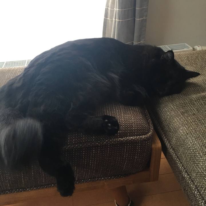 D14e7e21 0f60 4879 a48a 17269964c95f 1516157241204