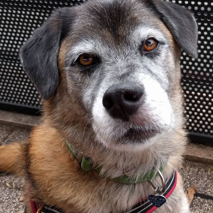 D14ea202 109f 4bae b981 b5861b20c7dc 1538788396343