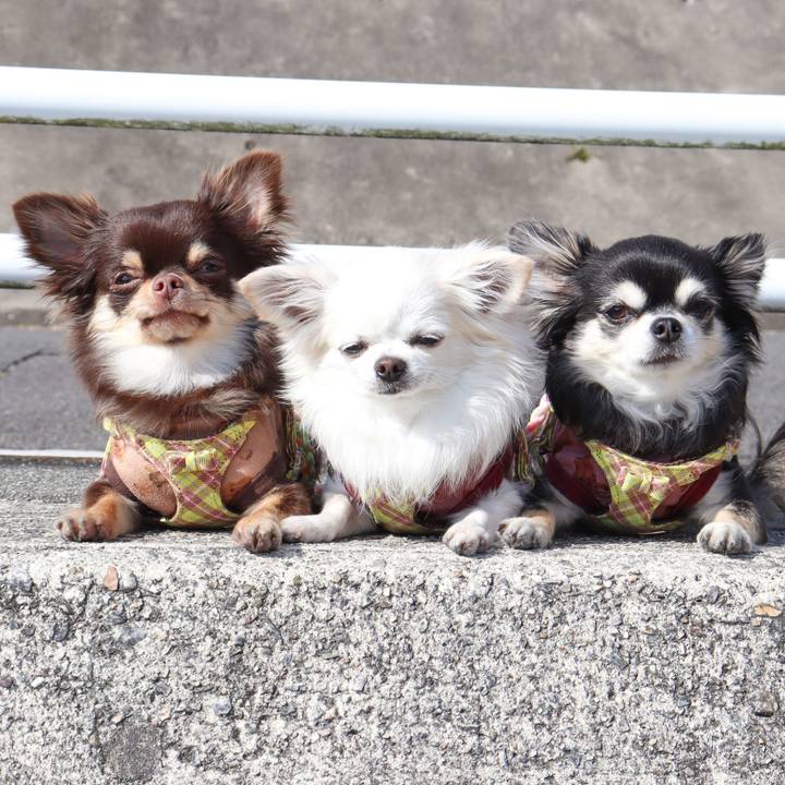 D14ee608 bec3 473d 8fe6 5f925582a22c 1771763176946