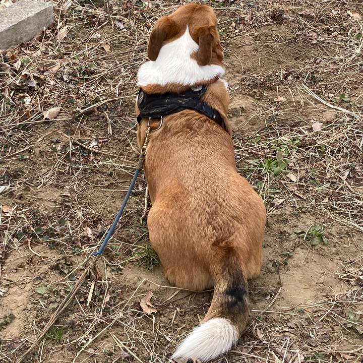 D14f19cf 3338 4a28 bd23 8b44f613a5cc 1678060279134