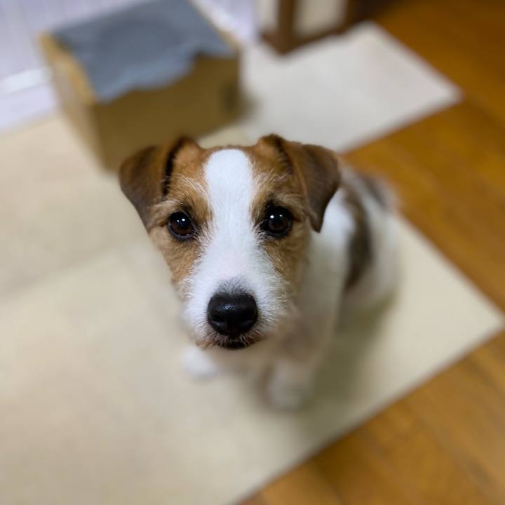 D14f1b4d 18bb 4fd5 bc00 48338e0fde88 1685283765410